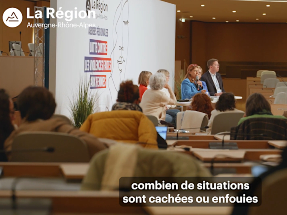 Preview image for the video "Assises régionales de lutte contre les violences faites aux femmes".