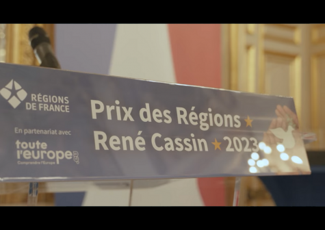 Preview image for the video "Retour en images sur la cérémonie de remise des prix des Régions René Cassin au Quai d'Orsay".