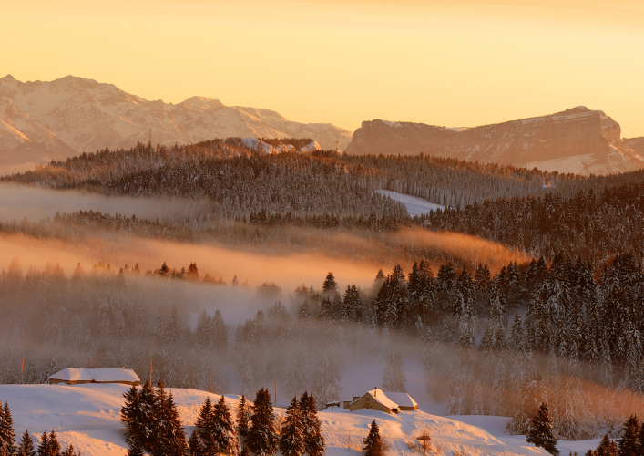 Massif des Bauges - © C. Martelet - Auvergne-Rhône-Alpes Tourisme Massif de la Chartreuse