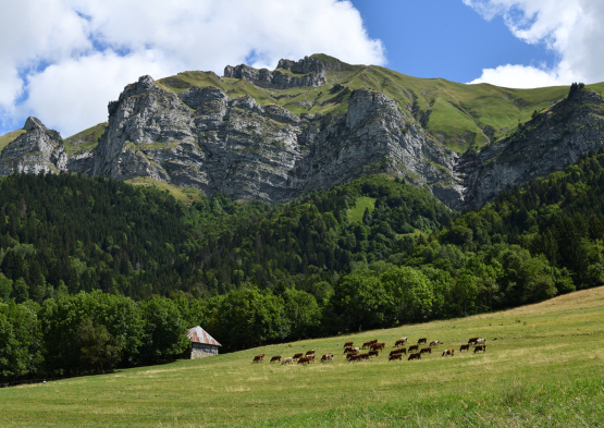 Grange-étable aux Planes (Doucy-en-Bauges, Savoie)