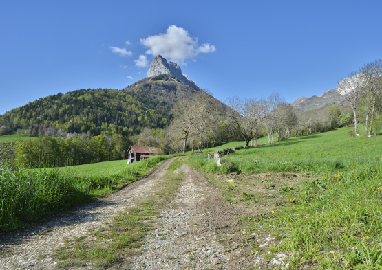 Grange-étable sous la dent de Pleuven à Jarsy (Savoie)