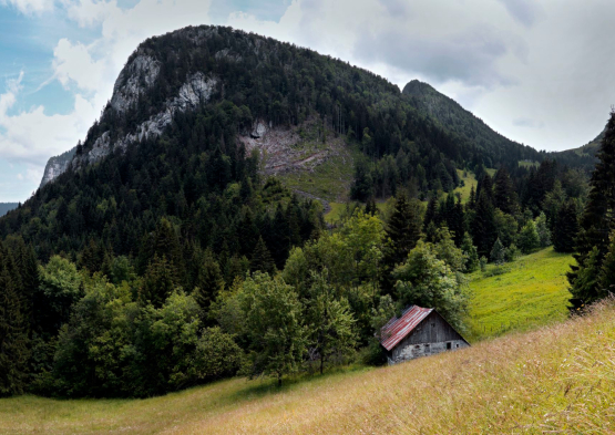 Chalet de la Charbonnière à Entrevernes (Haute-Savoie)