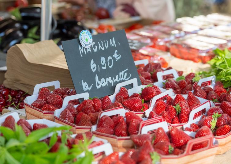 MRST etal fraises.jpg - © Charles Pietri MRST etal fraises.jpg