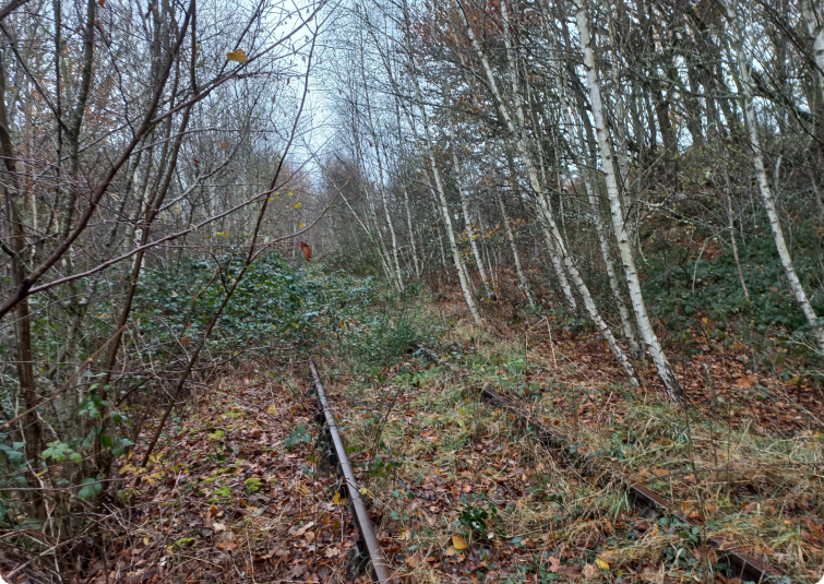 Via Combrailles voie ferrée en friche