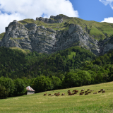 Grange-étable aux Planes (Doucy-en-Bauges, Savoie)