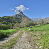 Grange-étable sous la dent de Pleuven à Jarsy (Savoie)